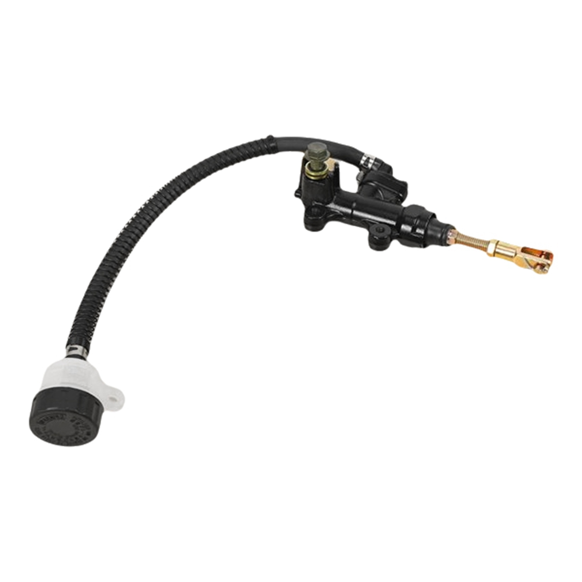T48C_For Suzuki Motorcycle Rea - Motorcycle Cylinder ulasan dan harga
